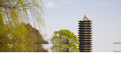 日本丰满HD主妇：游戏新势力：丰满主妇餐厅大逆袭-2