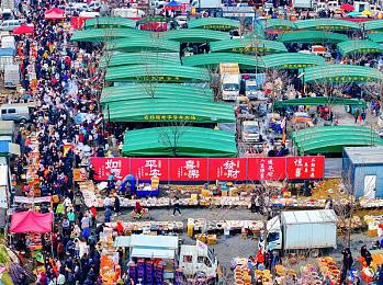 一个人看WWW免费视频：视频盛宴新体验，轻松互动乐无边-2
