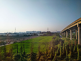 张雨欣阳光前40张：青春绽放，张雨欣40年光影蜕变