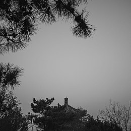 少妇做爰XXXⅩ性XXX,少妇实践养生法，身心焕然一新-1