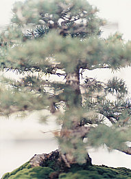 七客分享一百款软件：百款神器推荐，生活学习两不误-2