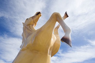5一8teeXXX粉第一次：粉嫩新品亮相，时尚潮流新选择