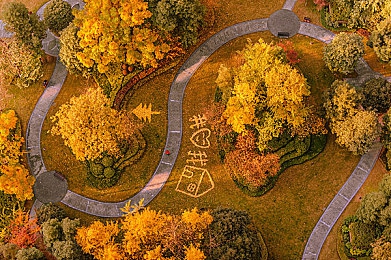 天天干活天天操：职场拼搏，健康成就未来