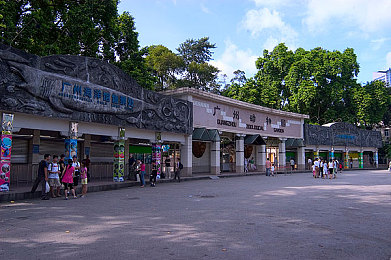 打扑克又叫又疼的视频原声版下载：搞笑扑克声走红，下载热潮来袭-4