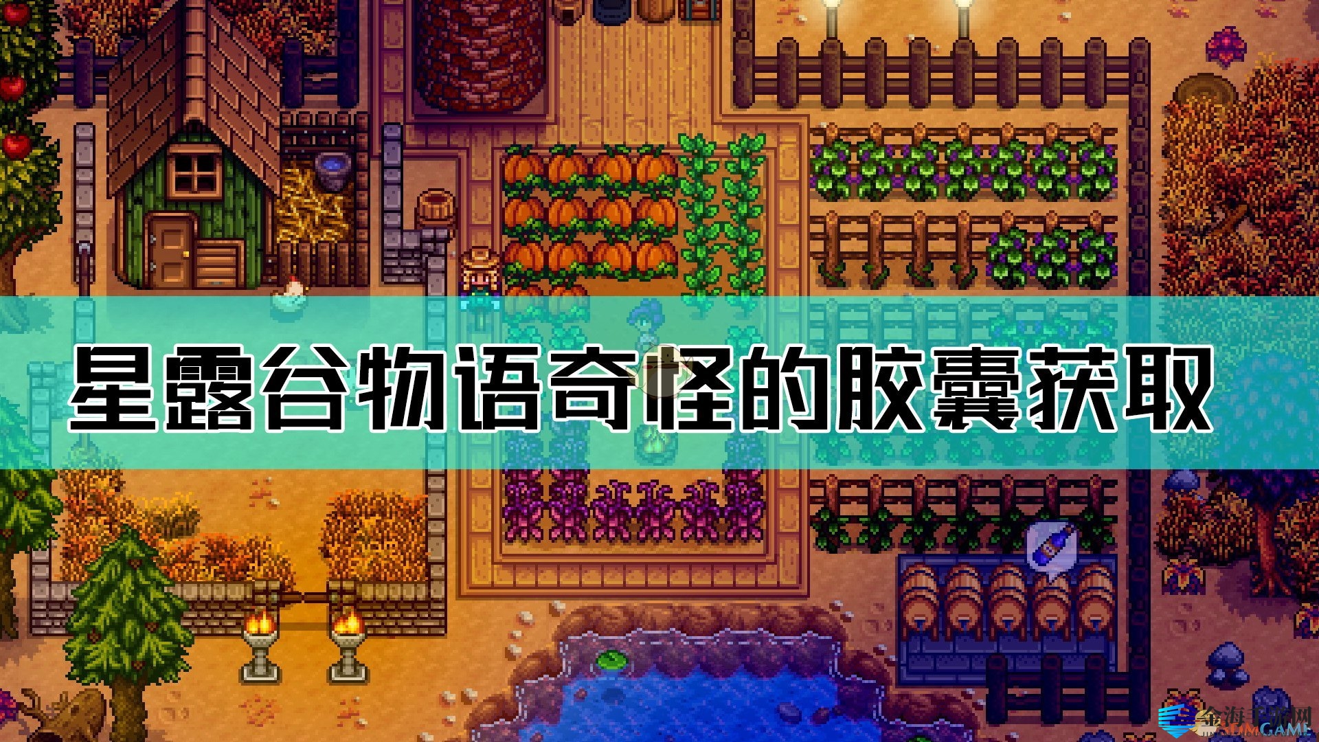 《星露谷物语》奇怪的胶囊获得方法介绍
