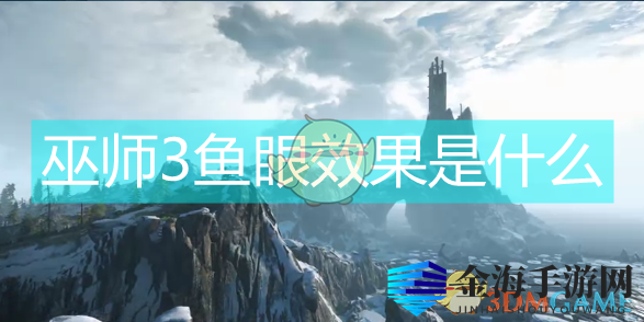 巫师3鱼眼效果是什么